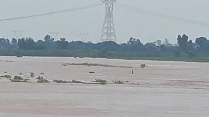 Flood situation in Punjab Army NDRF and police rescue continue weather news