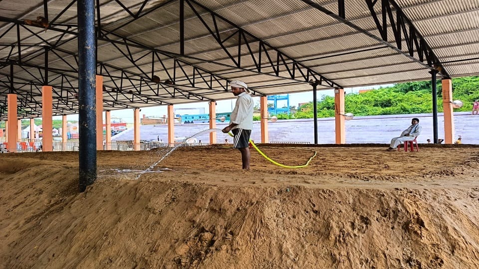Mustard oil, alum and turmeric mixed in the soil
