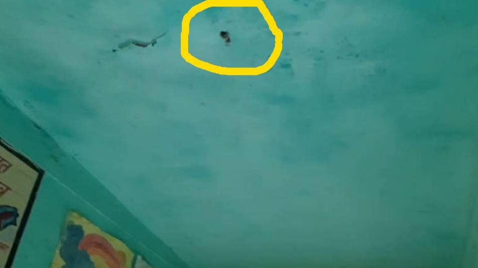 Two students injured when ceiling fan fell in primary school in Sitapur one in critical condition