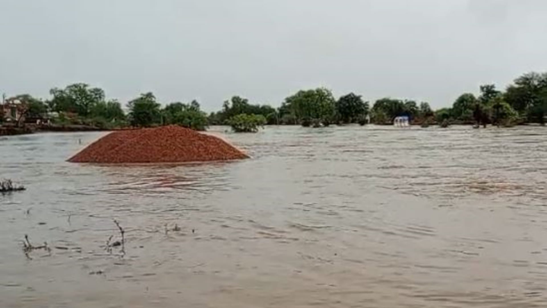 Rajasthan Weather Heavy Rain Alert Flood-Like Situation, Schools Closed in 8 Districts News in Hindi