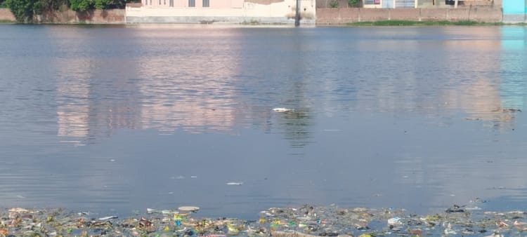 Bihar News: ताजबाज पोखर में 20 क्विंटल से अधिक मछलियों की मौत, प्रशासन पर लापरवाही का आरोप