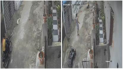 Rajasthan News: Bull Tramples Man Waiting on Bike for Friend in Sikar