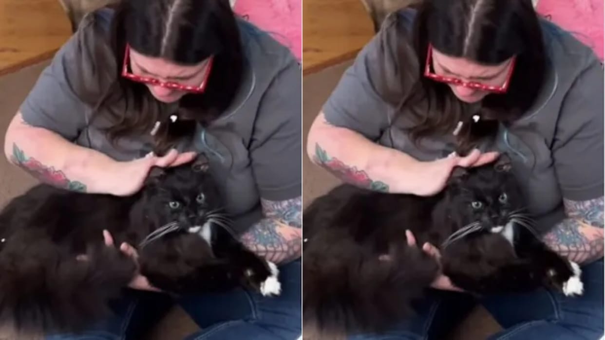This woman keeps her dead cat at home got it preserved by freeze drying people called it madness