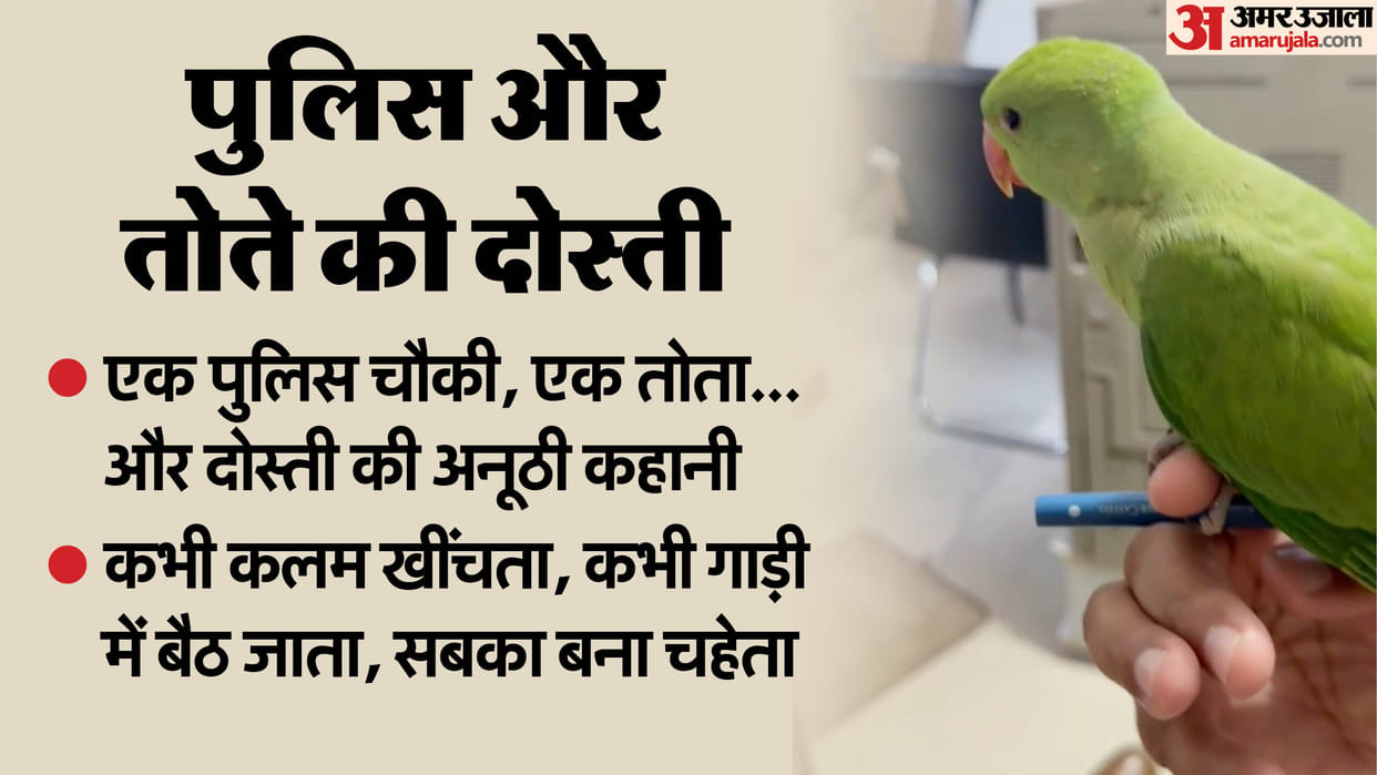 A police post a parrot and a unique story of friendship Parrot reduces stress of policemen