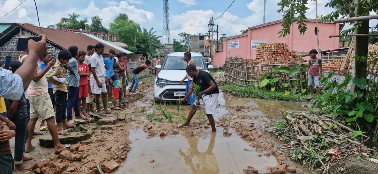 Bihar News: the villagers planted paddy road was not built on the claim of BJP MLA in Purnia