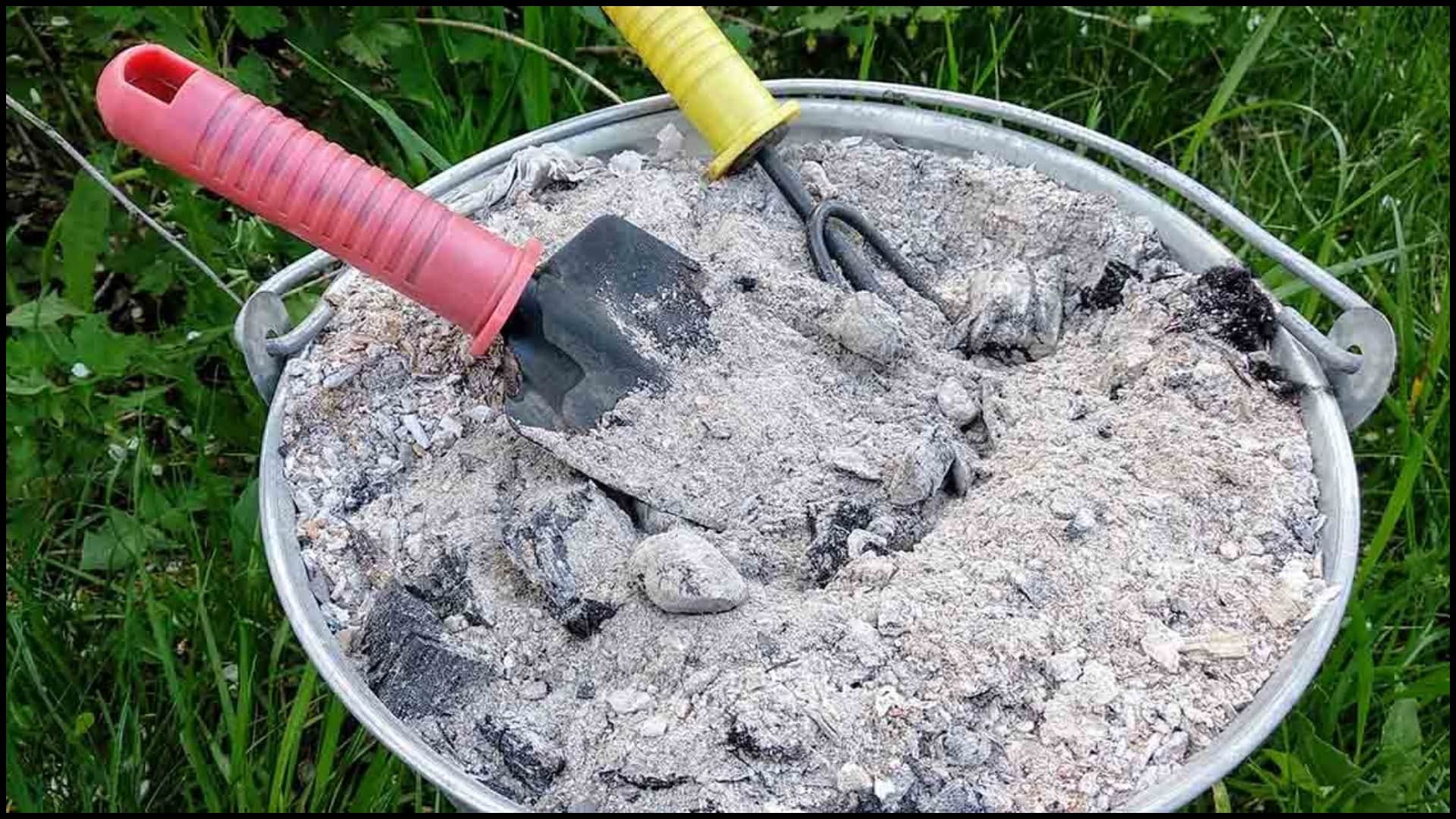 Gardening Tips natural pesticides For Plants Protection in hindi