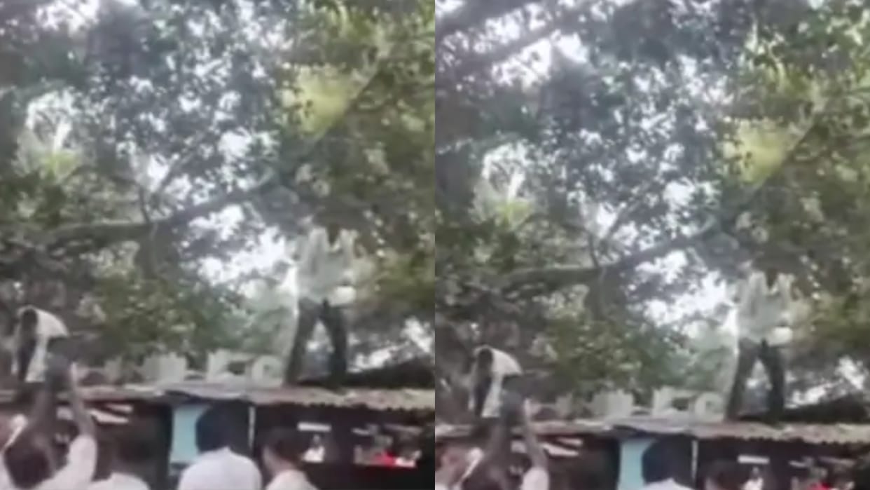 A monkey snatched a bundle of notes from a man and blew away the money 80 thousand rupees flew away in the air