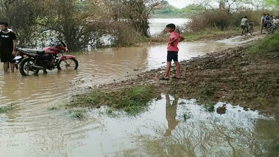 uttangan river flood agra yamuna rising UP Flood update news