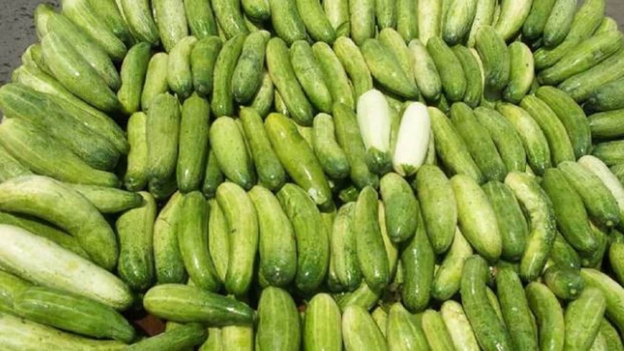 खीरा खाने के फायदे और नुकसान