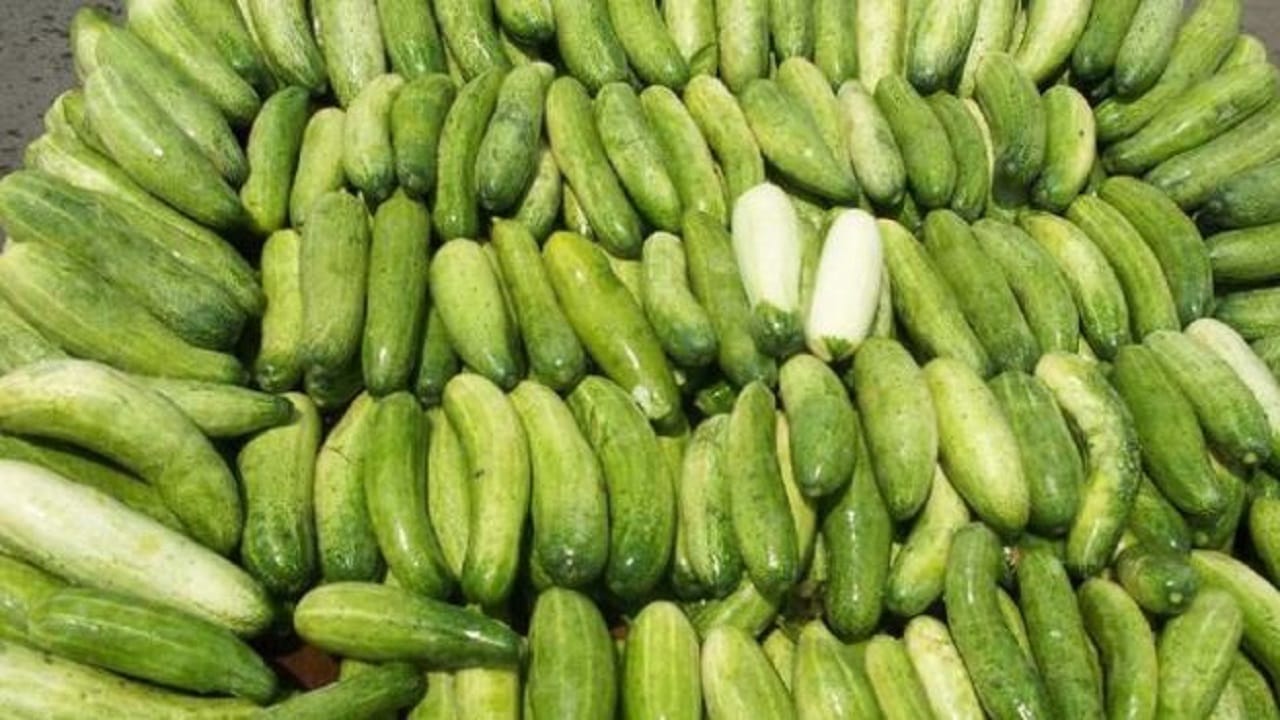 best way to eat cucumber in summer season kheera khane ke fayde