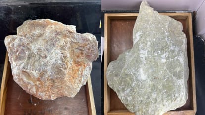 Jhansi: Scientific research on Gora Pathar and Diaspore in Bundelkhand gets green signal