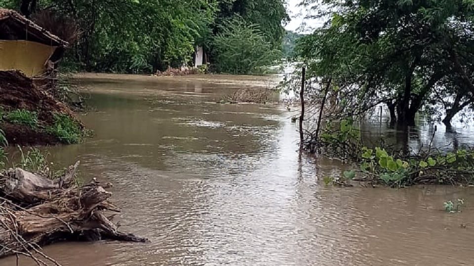 uttangan river flood agra yamuna rising UP Flood update news