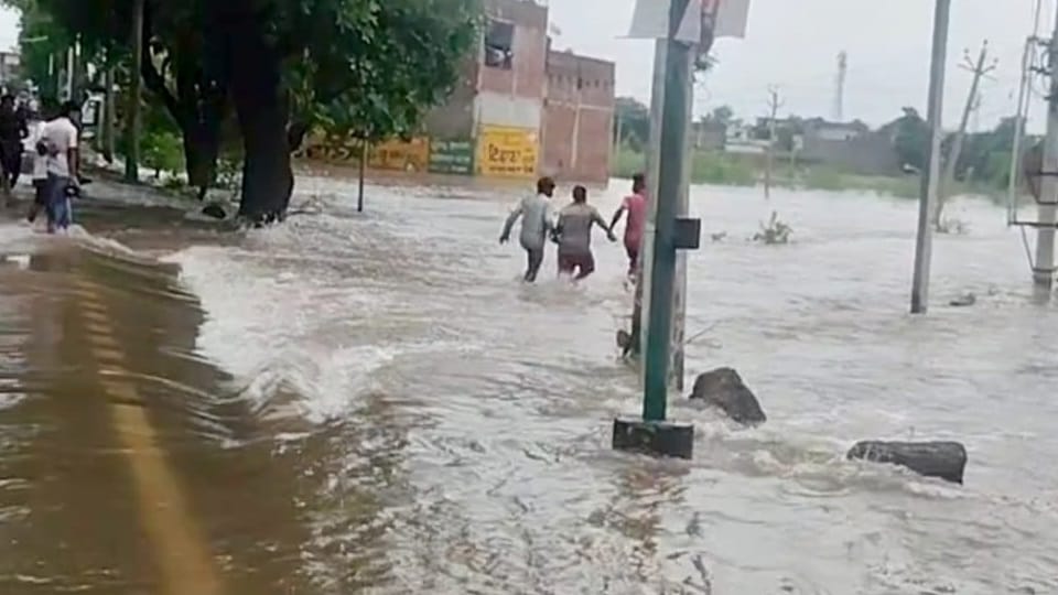 Flood in Punjab 4711 people rescued from flood affected areas army rescue operation