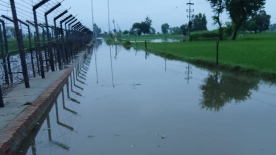 Flood in Punjab Ujj Ravi Beas Sutlej overflowing submerged villages CM bhagwant mann