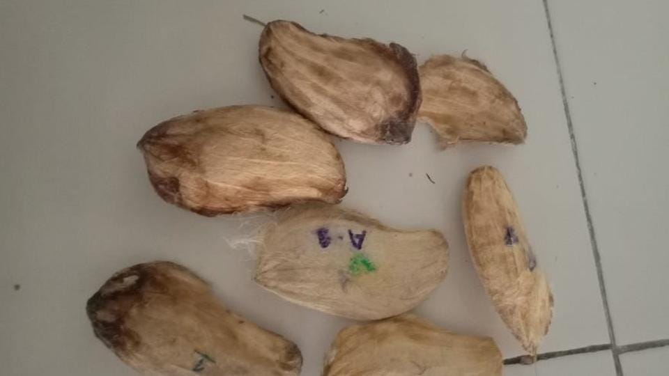 rbs engineering students discover health treasure from waste