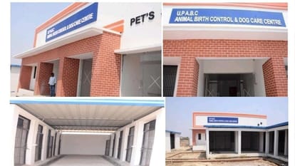 ferocious dogs will live in single barrack like prisoners in Varanasi