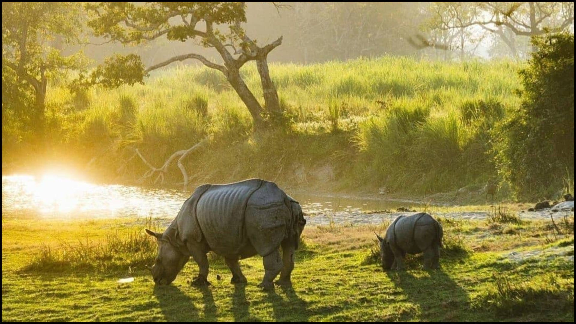 Best Places To Visit In Assam Tourist Places in hindi
