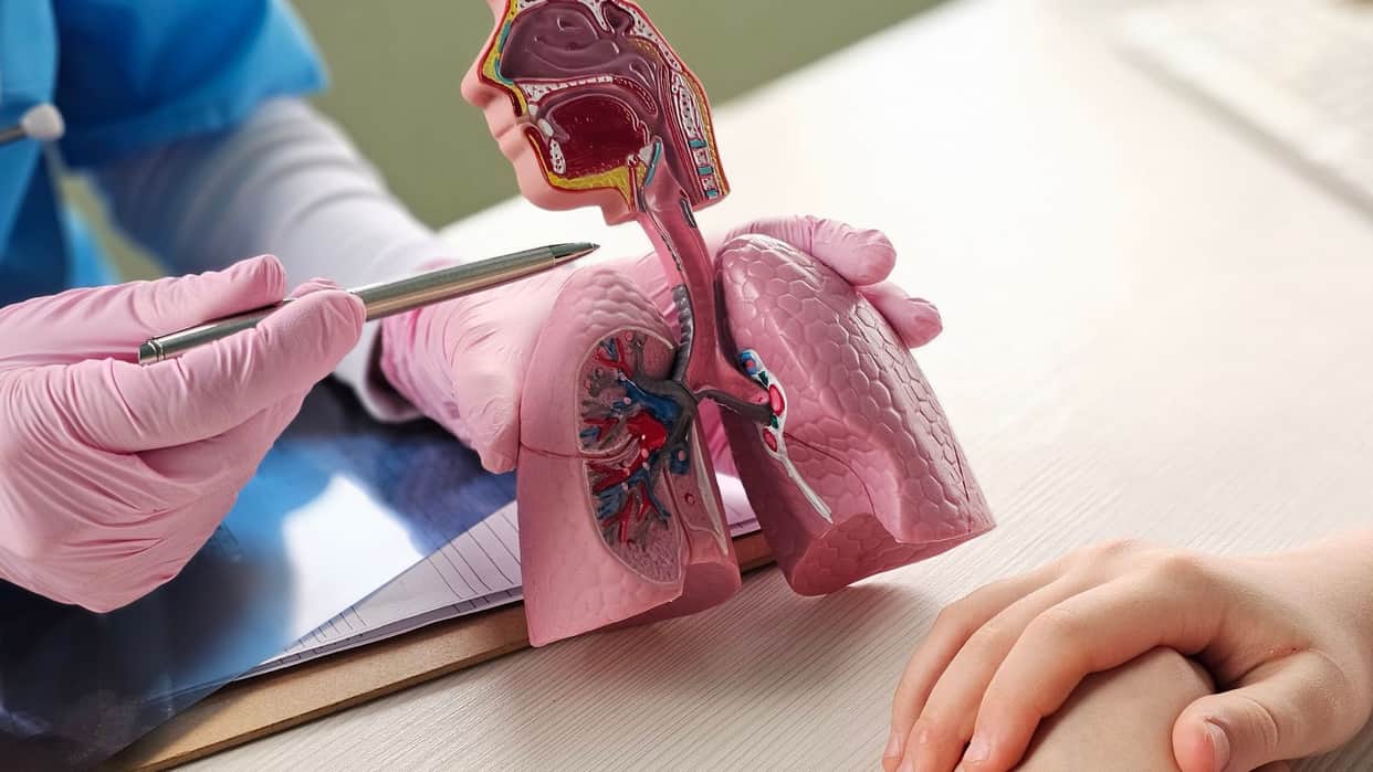 World Pneumonia Day 2025 Air Pollution Linked to Rising Pneumonia Cases Take These Precautions