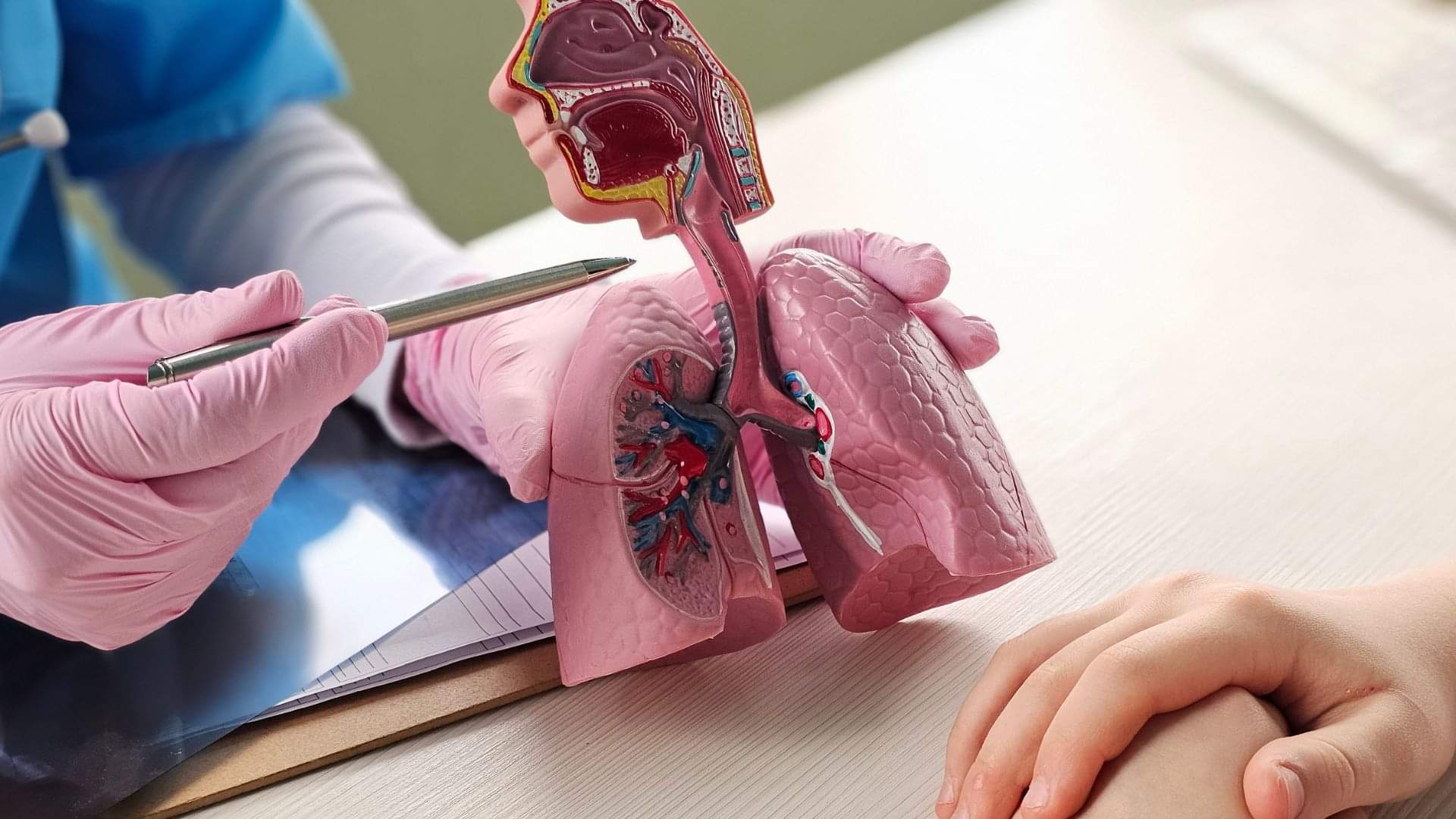 World Pneumonia Day 2025 Why is World Pneumonia Day celebrated about this year theme