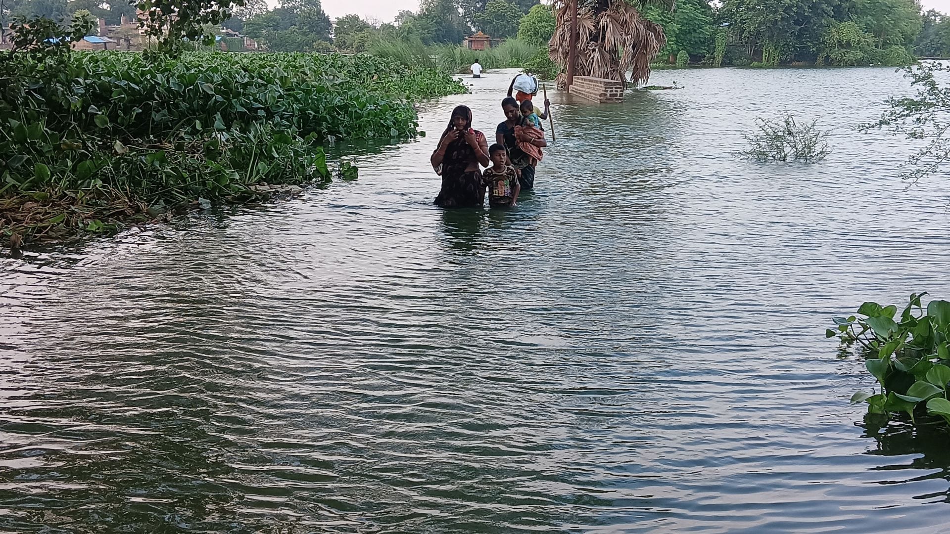 Flood Alert Seven houses washed away again in Ballia water entered inhabited area 30 villages make islands