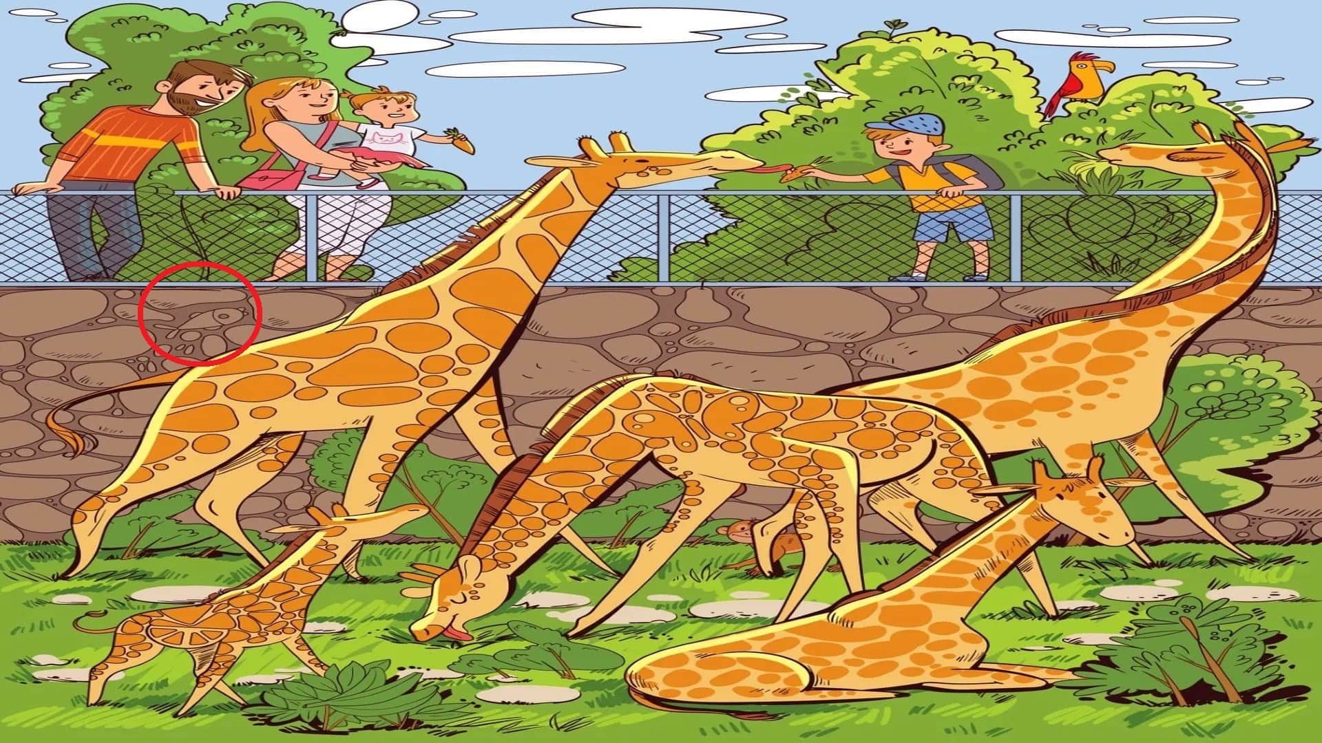 optical illusion iq test brain test if you eagles eyes then find fish