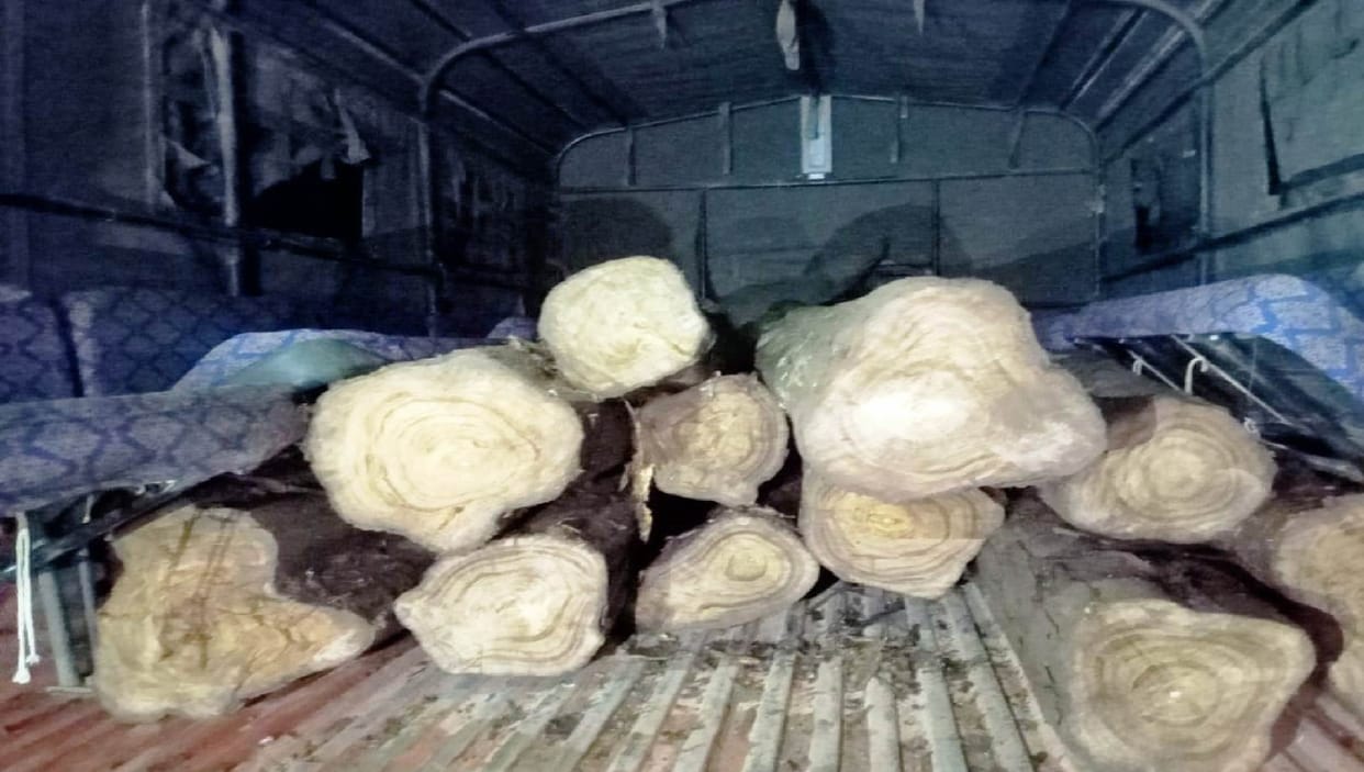 The forest department took action against teak wood smuggling in the forests of Keshkal