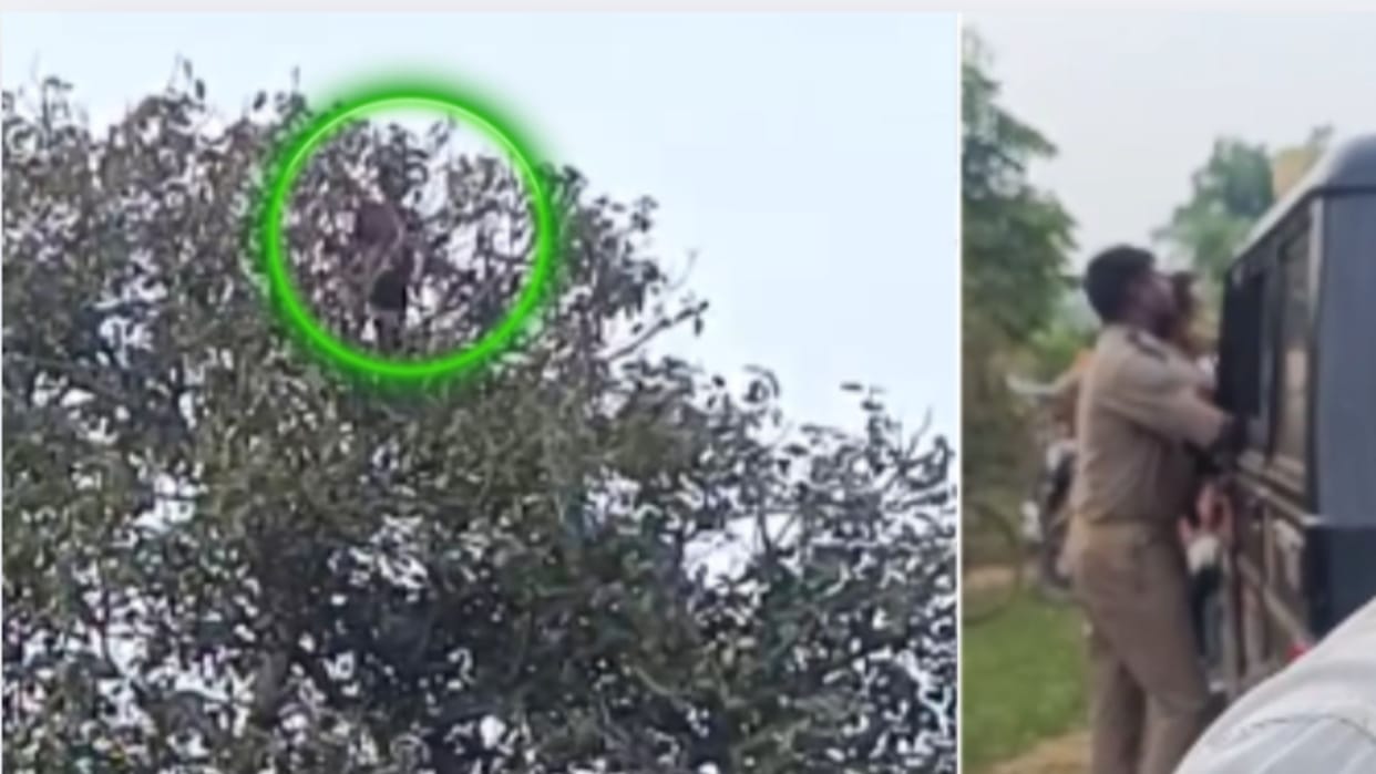Fertilizer Crisis in chandauli farmer climbed tree and threatened to commit suicide for not getting fertilizer