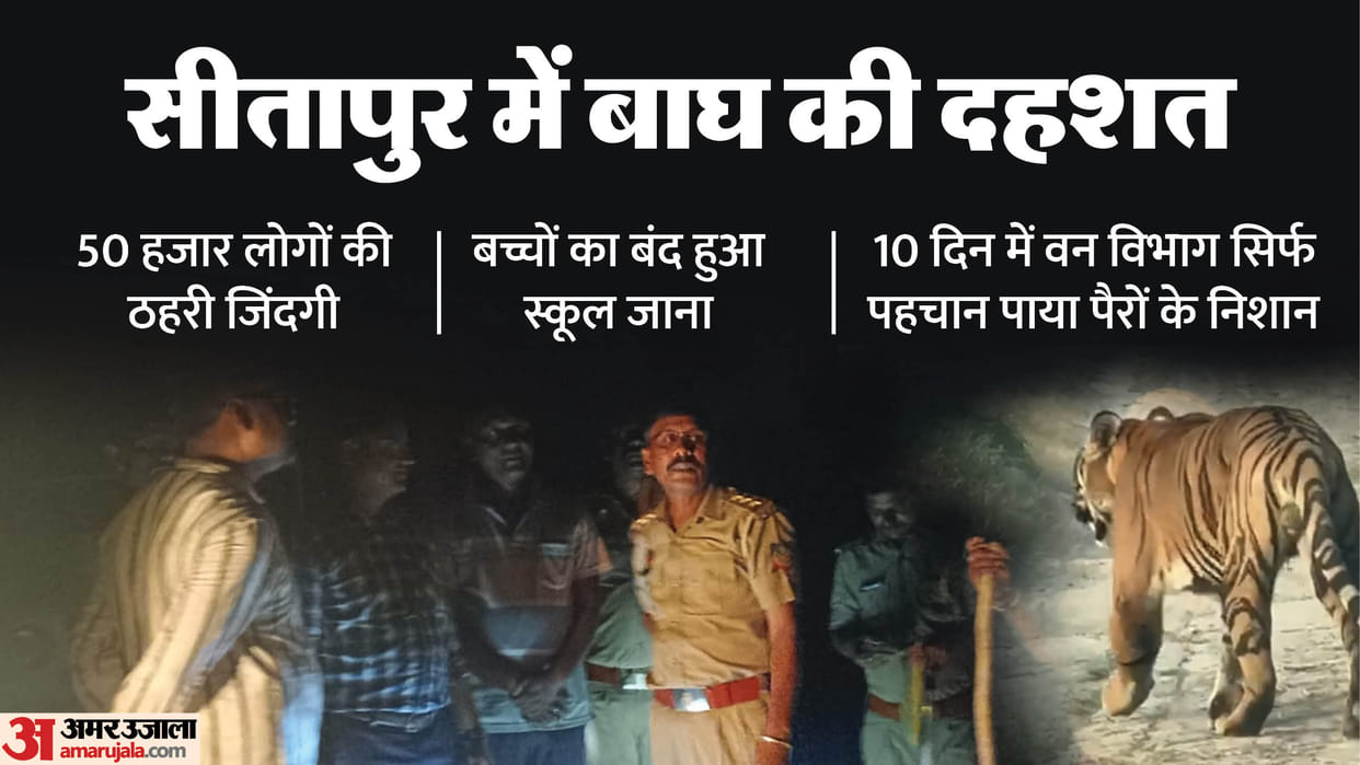 UP: Life in Sitapur has come to a standstill due to the fear of tiger, children have missed school; people of