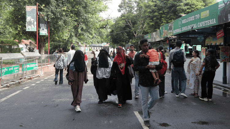 नववर्ष पर दिल्ली में उत्साह: चिड़ियाघर पहुंचे करीब 25 हजार लोग, इंडिया गेट से कनॉट प्लेस तक भारी भीड़