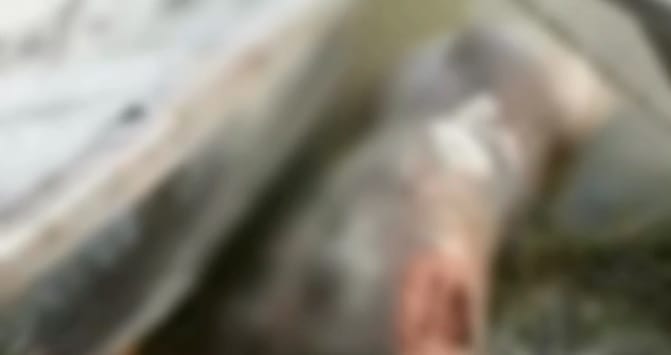 Kanpur An unknown body found in the Ganga river neck and limbs are badly damaged police investigating