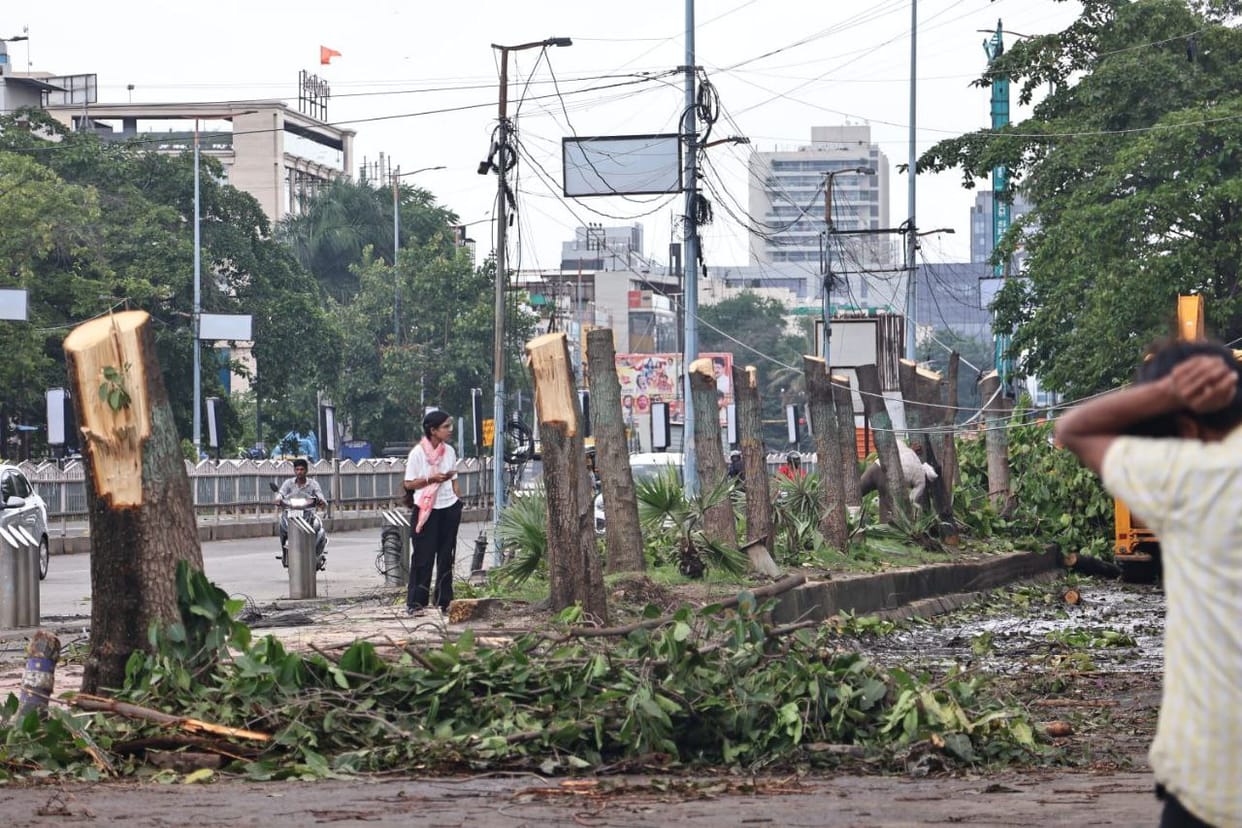 indore news tree cutting continues in vijay nagar citizens angry over environmental damage