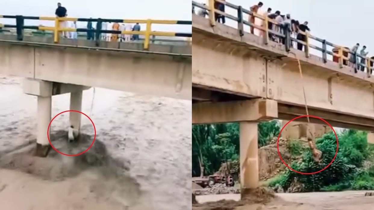 people risked his life to save the lives of man trapped in the flood becoming an example of humanity Viral