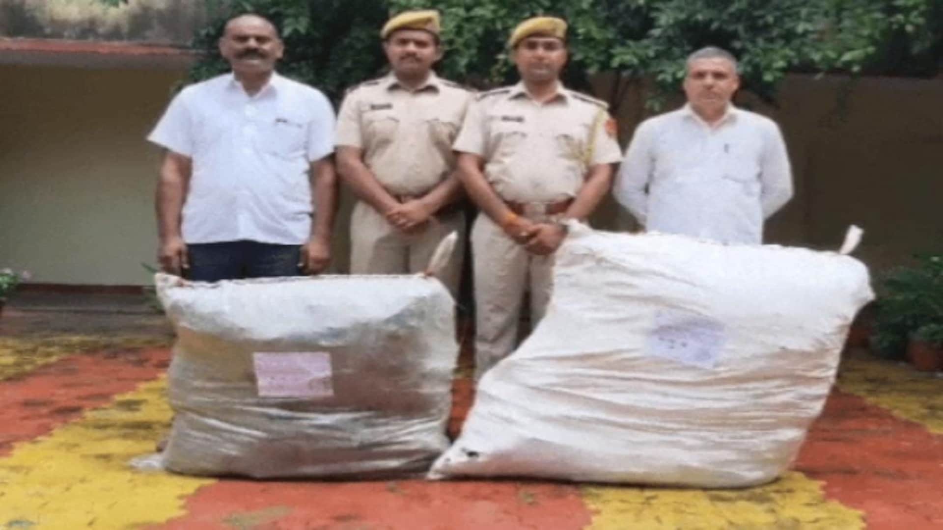 पुलिस ने 64 किलो से ज्यादा गांजे के पौधे जब्त किए