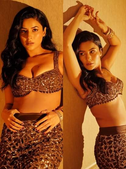 शहनाज गिल