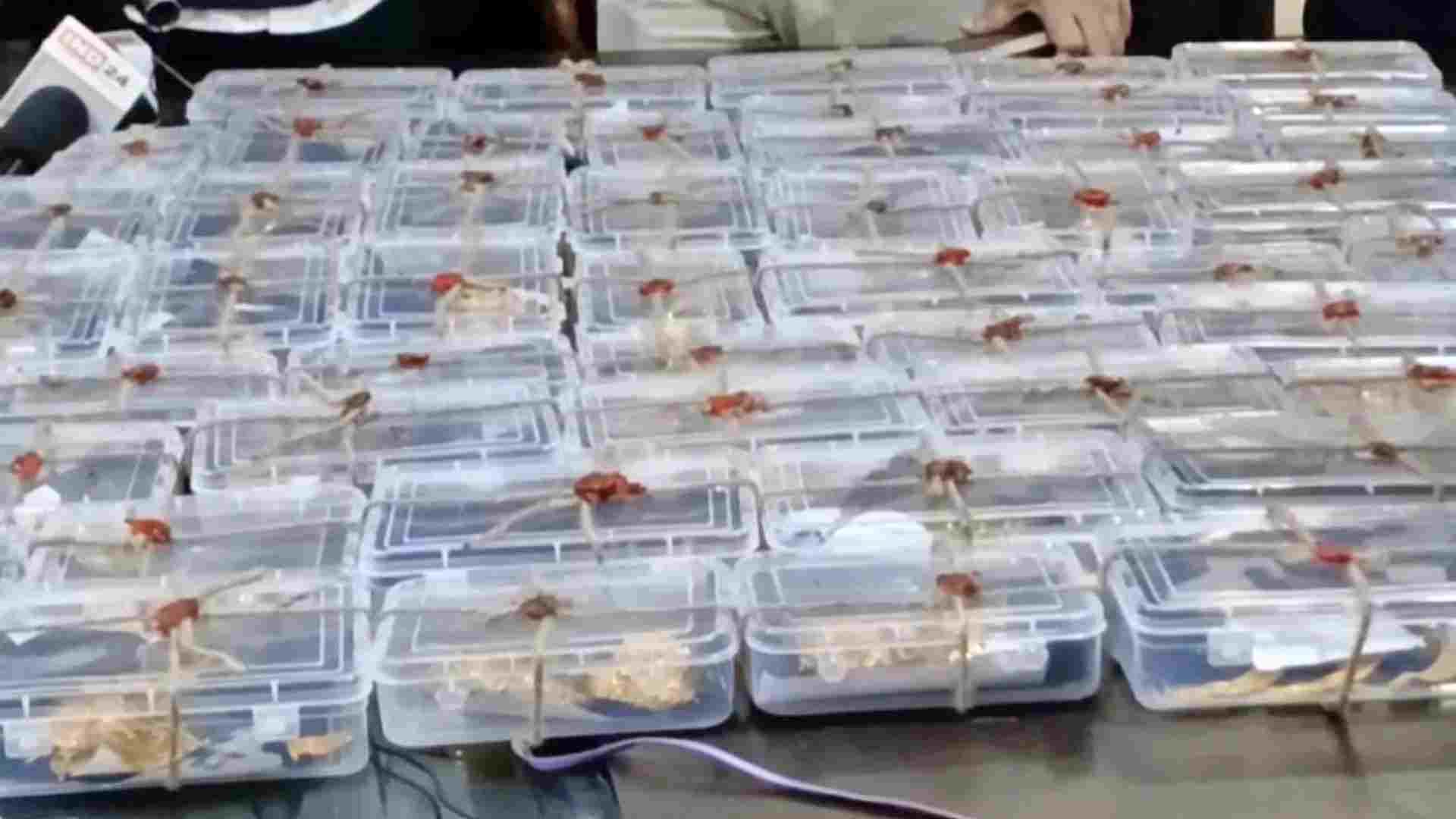 आरोपियों से बरामद किया गया माल।