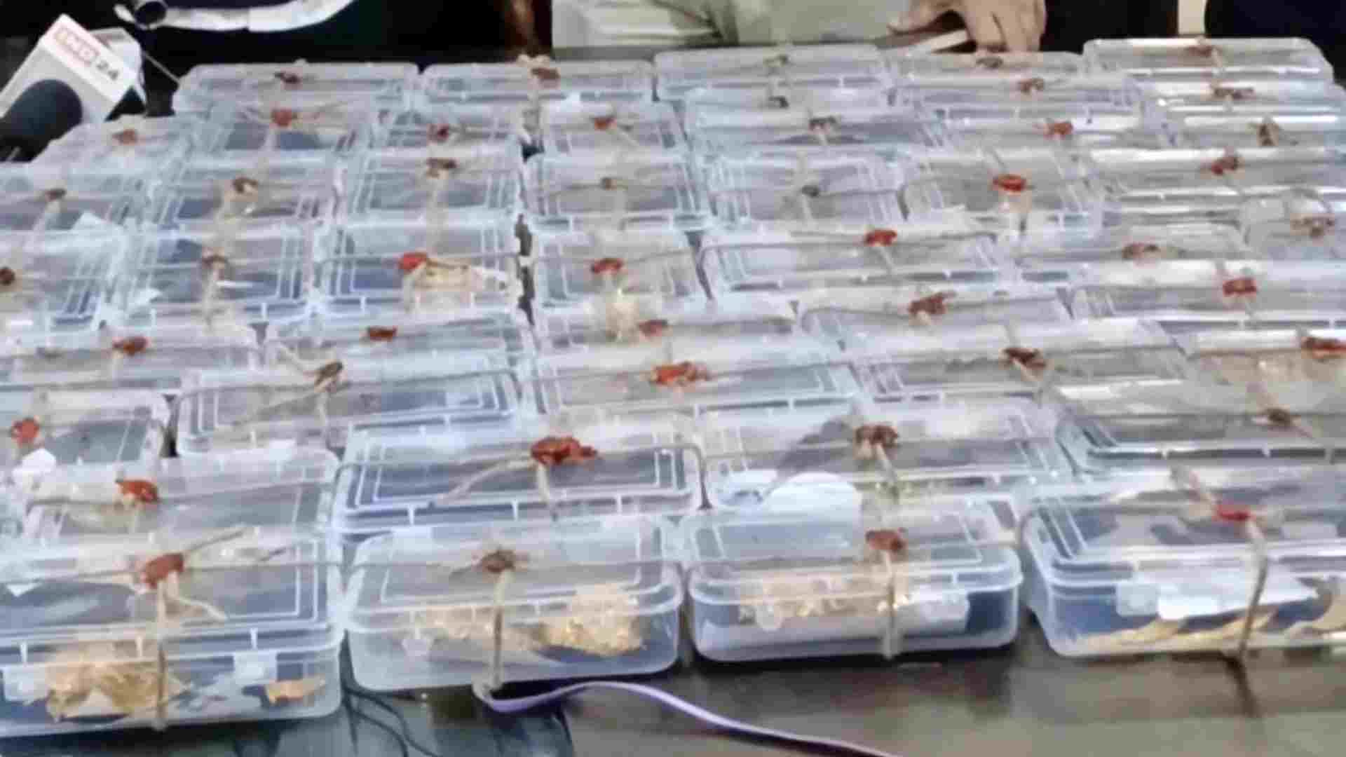 आरोपियों से बरामद किया गया माल।