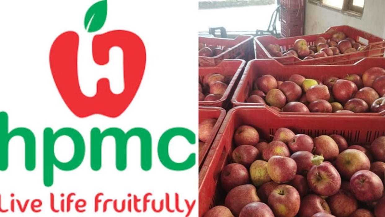 Himachal News HPMC is buying apples from gardeners at Rs 12 and selling them at Rs 2 per kg