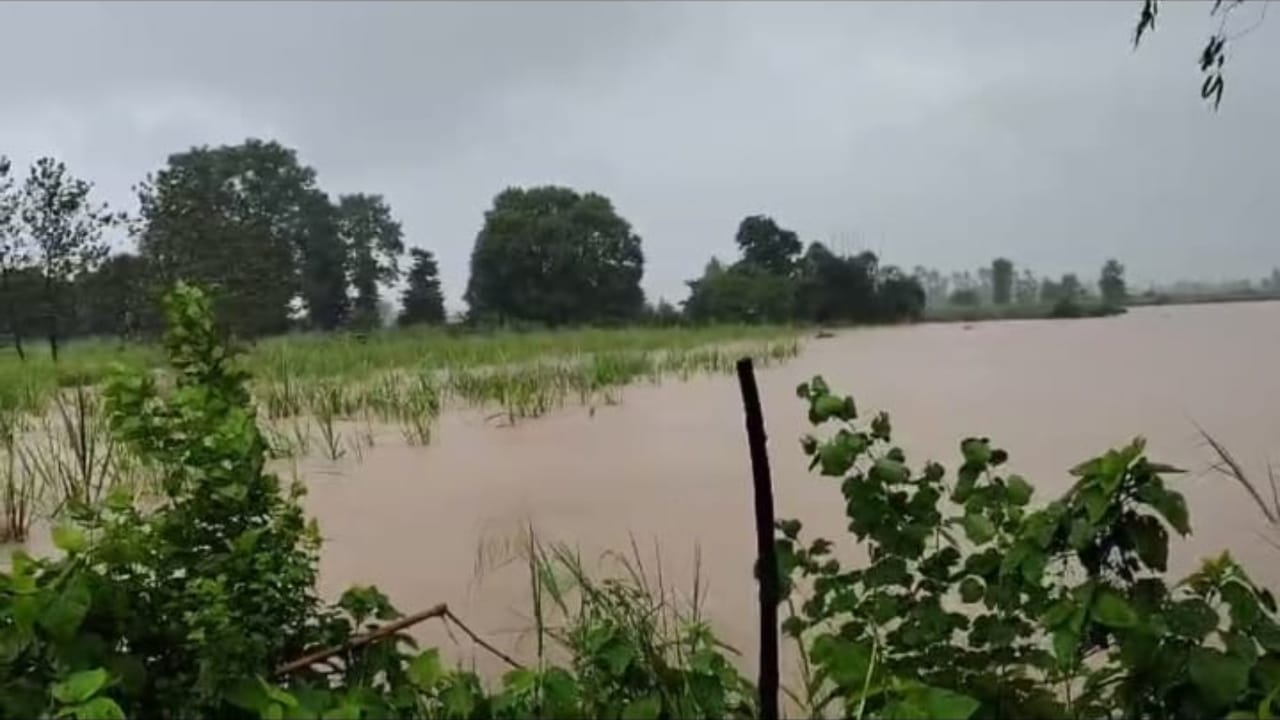 school closed till 3rd September due to heavy rain in Pilibhit