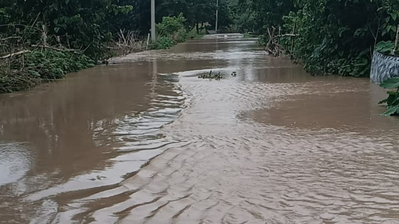 school closed till 3rd September due to heavy rain in Pilibhit
