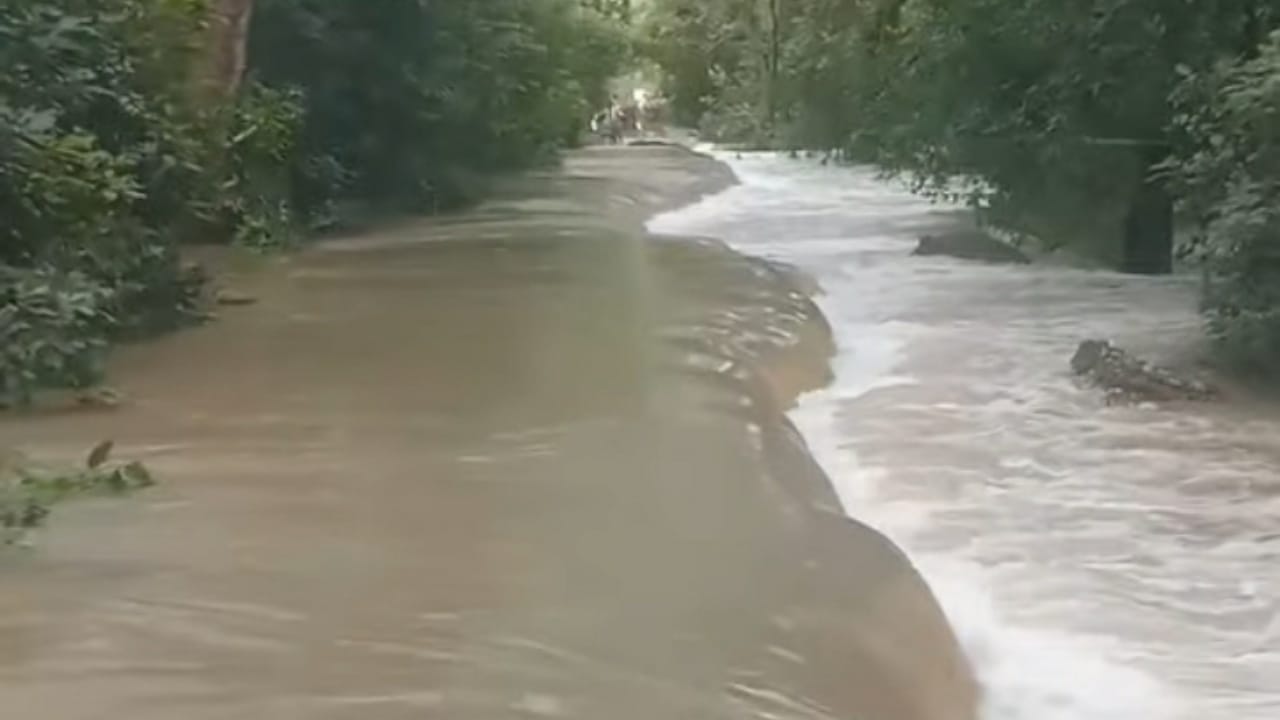 school closed till 3rd September due to heavy rain in Pilibhit