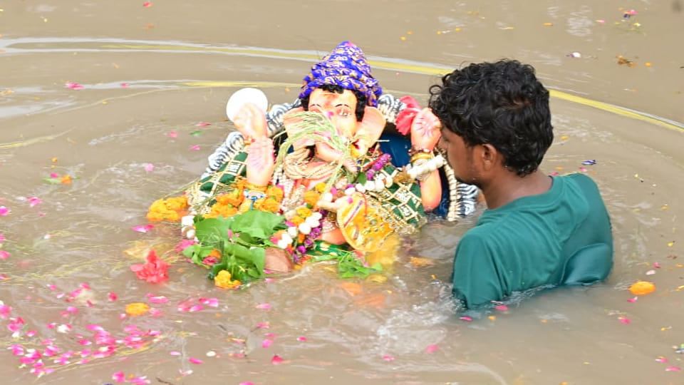 Ganesh Visarjan 2025 Keep Prosperity Flowing All Year by Watering This Plant After Ganesh Visarjan