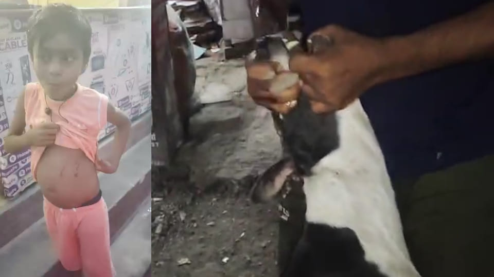 Unnao: Daughter bitten by a dog, father furious with the incident killed the dog
