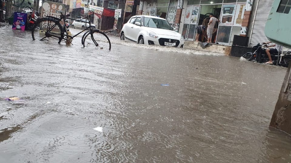 warning of heavy rains Haryana government directed field officers to remain at headquarters