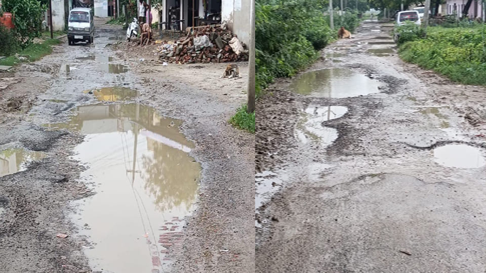 500 meter road will be built from Sarsaul Railway Station to Shankaranand Vidyalaya by Mandi Samiti