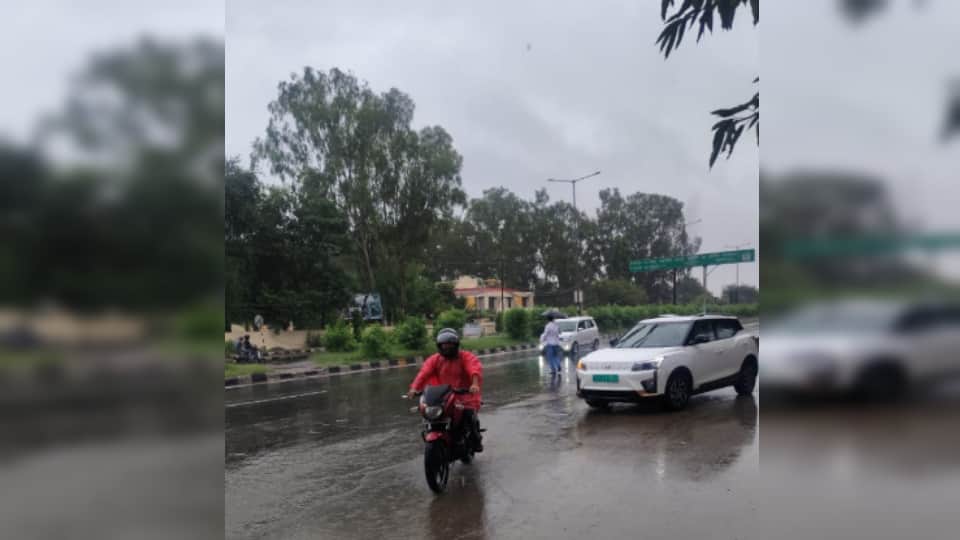 West UP Weather: Temperature Drops After Light Rain, Weather Turns Pleasant in Western UP