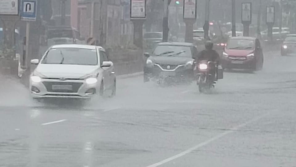 Moradabad division rain: Four people including a constable died, roads and forests submerged, alert
