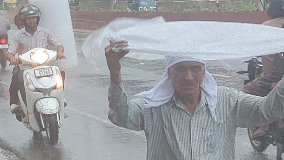 Moradabad division rain: Four people including a constable died, roads and forests submerged, alert