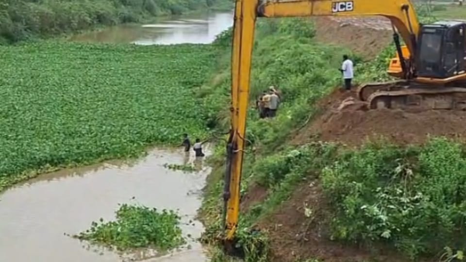पटियाला में बड़ी नदी की सफाई शुरू