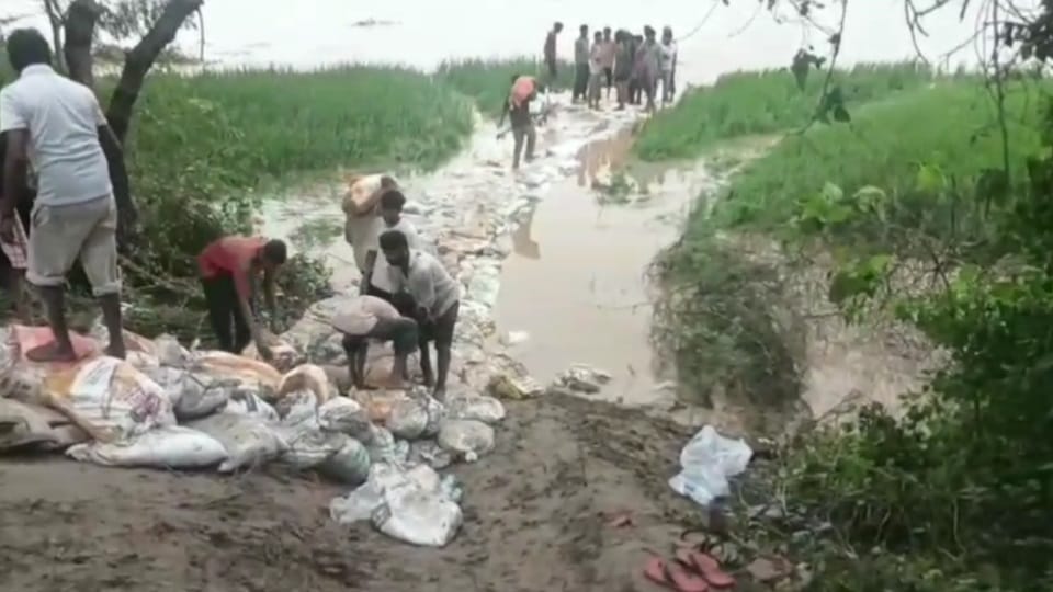 Flood threat in Ferozepur Villagers stand firm with courage  engaged in strengthening the dam