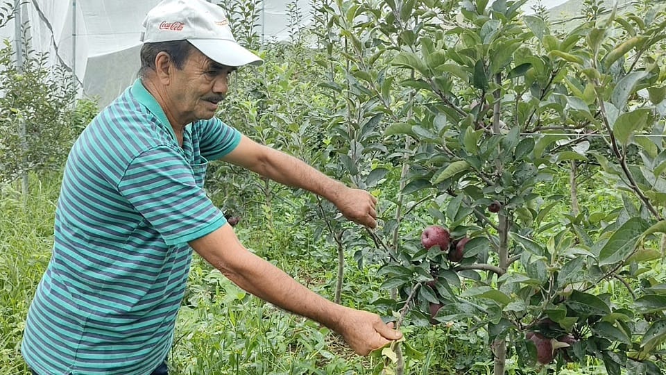 Ex-soldier Ramesh is turning barren land into greenery in champawat